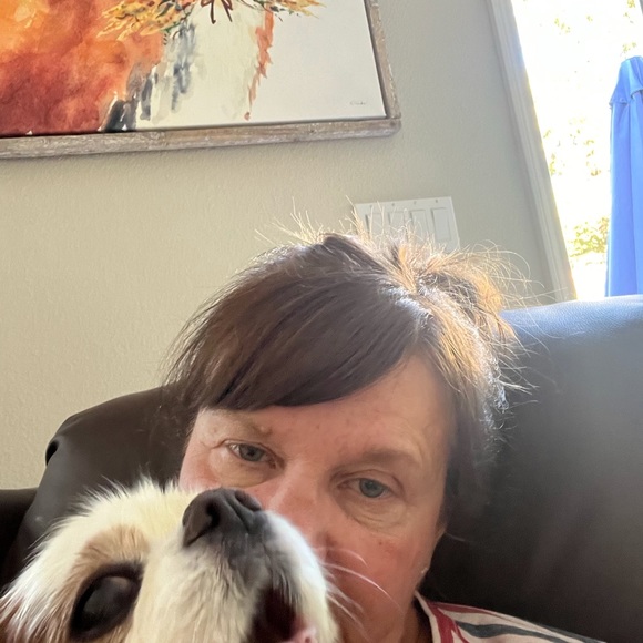 Vintage Celluloid Faux Ivory Lotus Japanese Garden Jewelry lidded box. - Picture 14 of 14